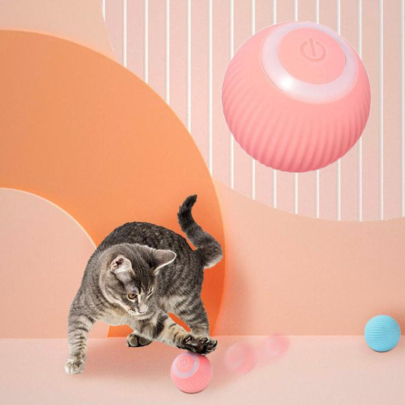 Smart Rolling Ball (Interactive Pet Toy)