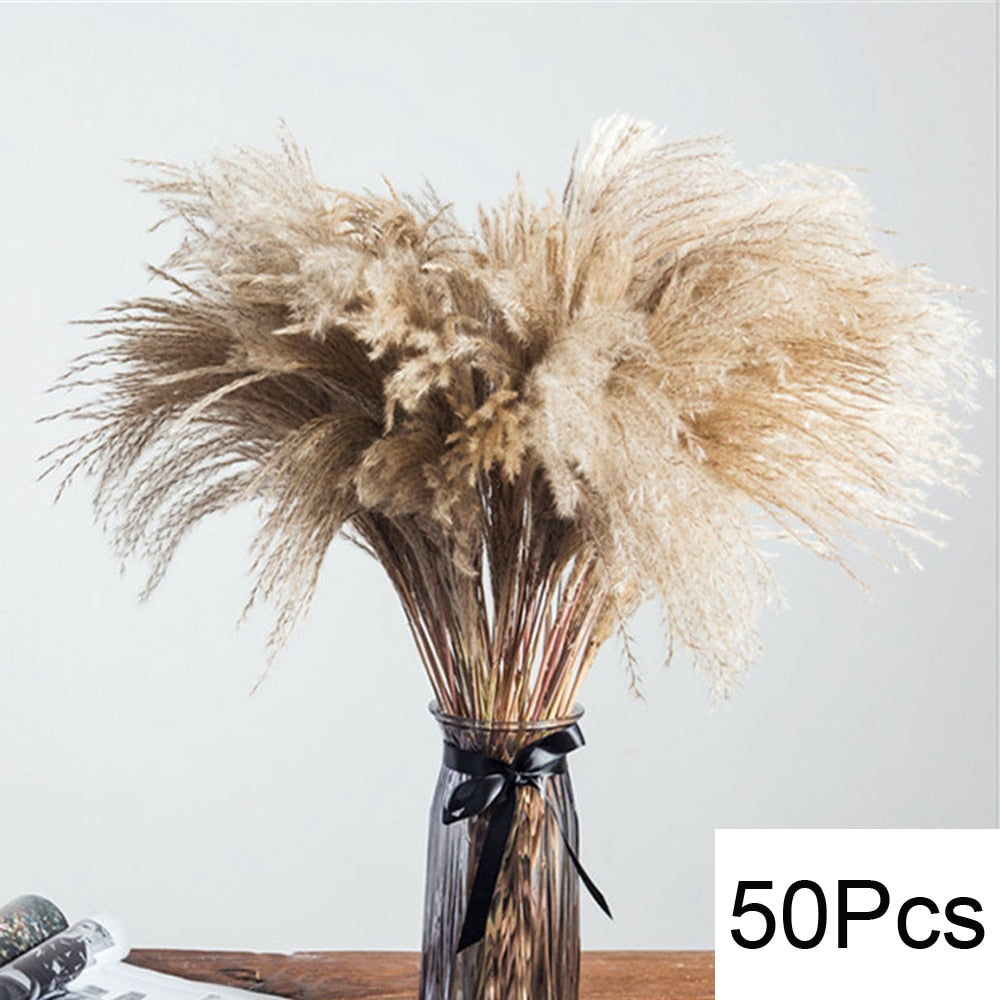 Pampas Arrangement - Dried Flowers Bouquet Home Decoration