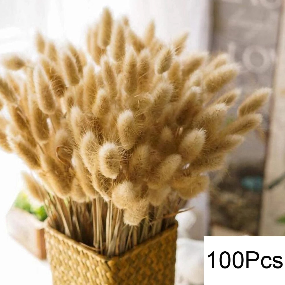 Pampas Arrangement - Dried Flowers Bouquet Home Decoration